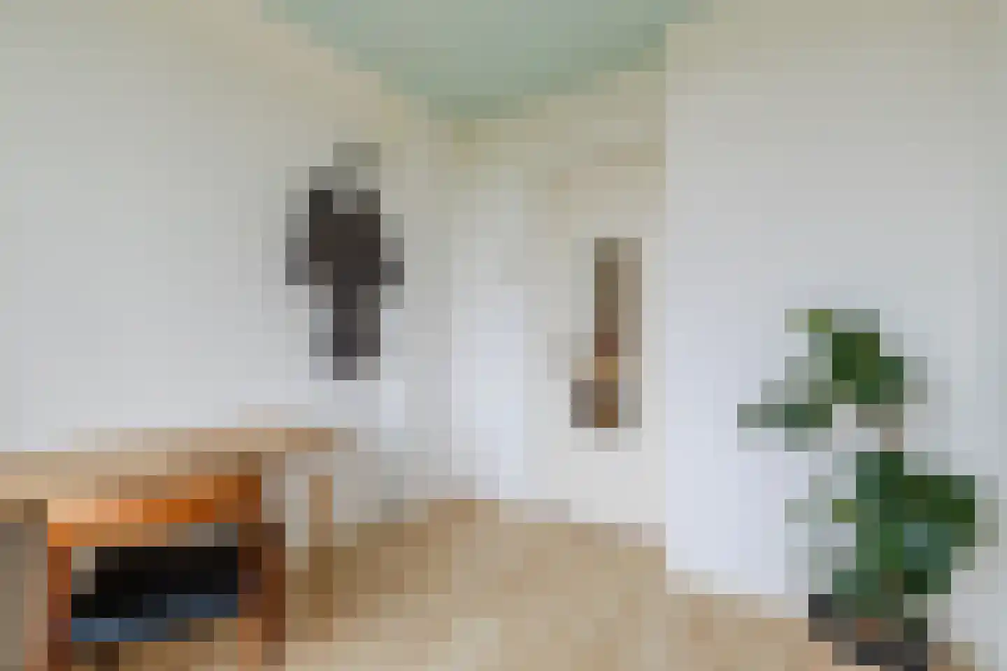 Tolsteegplantsoen 51 3 Utrecht thumbnail 18