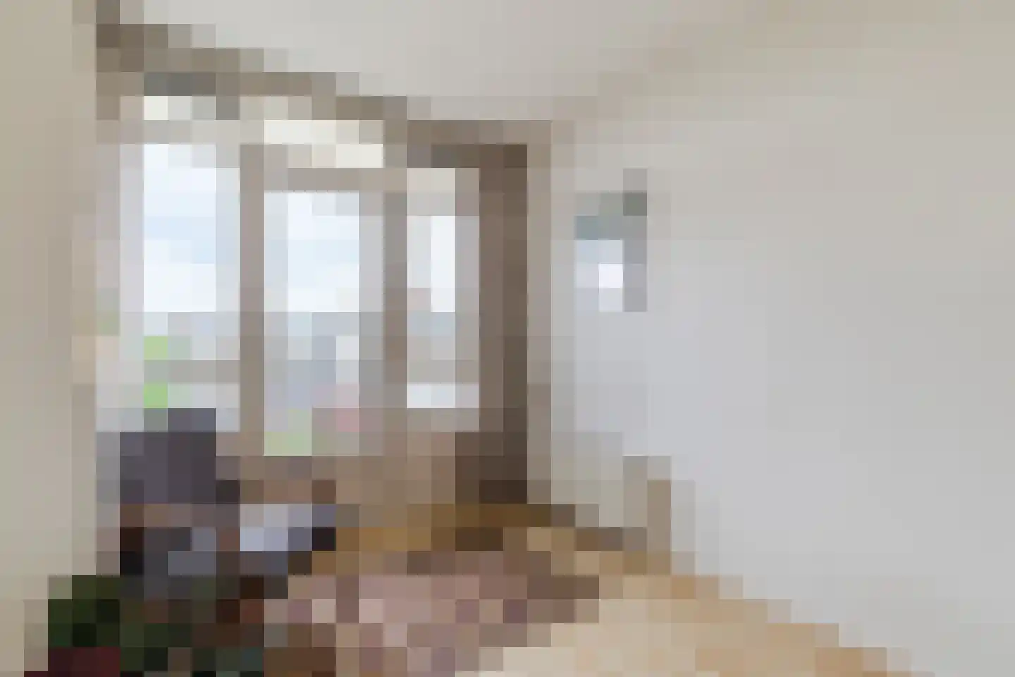 Tolsteegplantsoen 51 3 Utrecht thumbnail 19