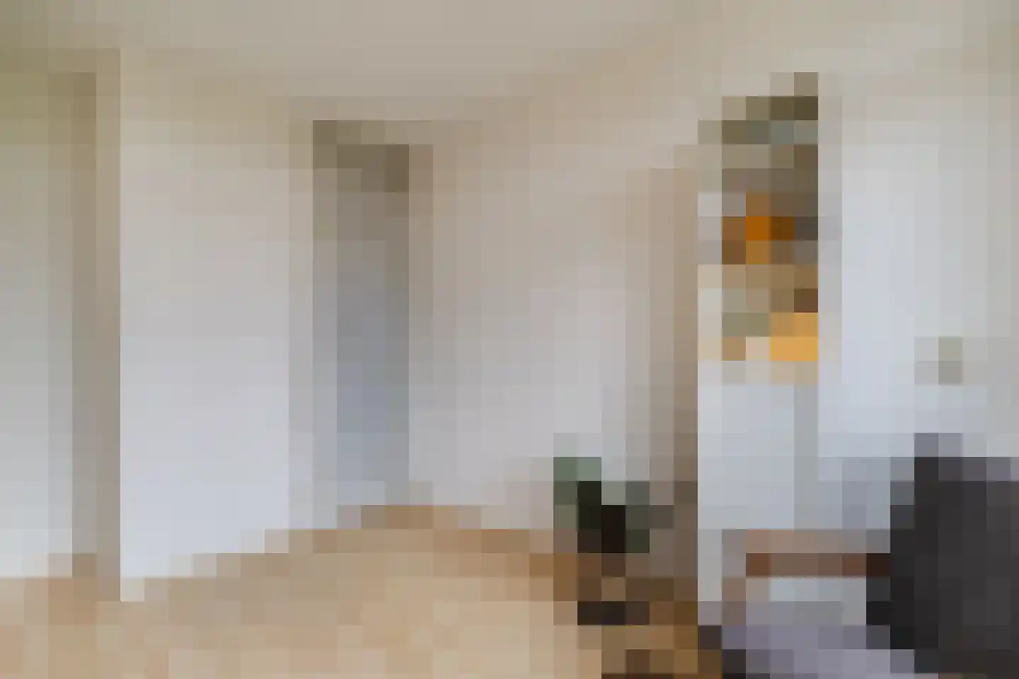 Tolsteegplantsoen 51 3 Utrecht thumbnail 20