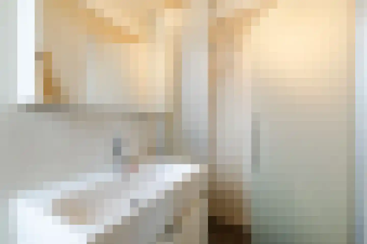 Tolsteegplantsoen 51 3 Utrecht thumbnail 21