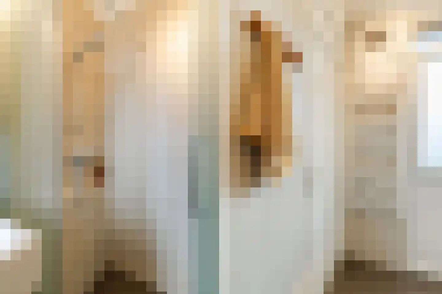 Tolsteegplantsoen 51 3 Utrecht thumbnail 22