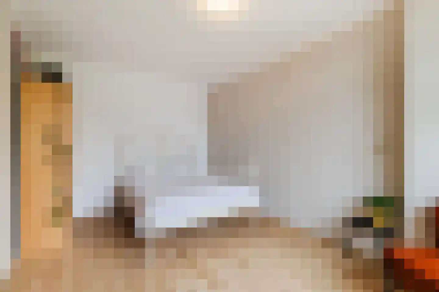 Tolsteegplantsoen 51 3 Utrecht thumbnail 24