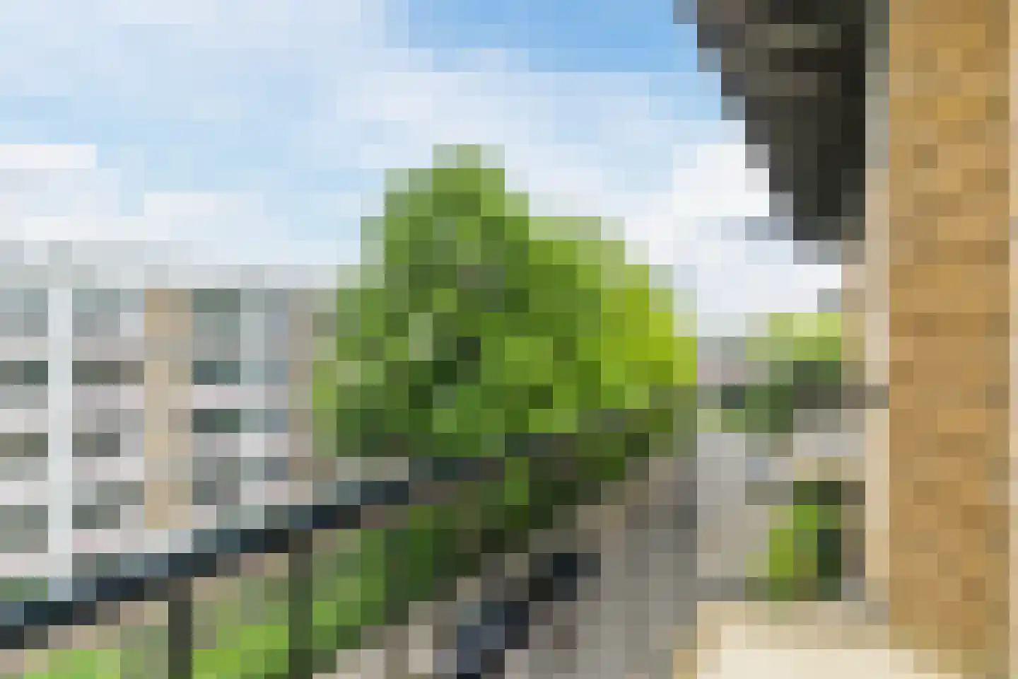 Tolsteegplantsoen 51 3 Utrecht thumbnail 27