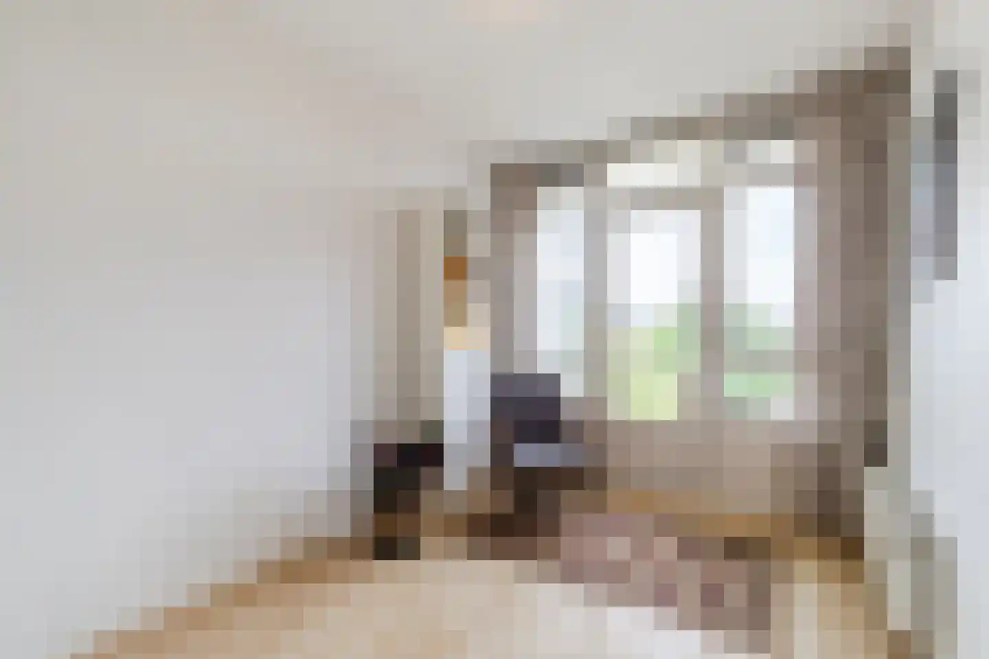 Tolsteegplantsoen 51 3 Utrecht thumbnail 4