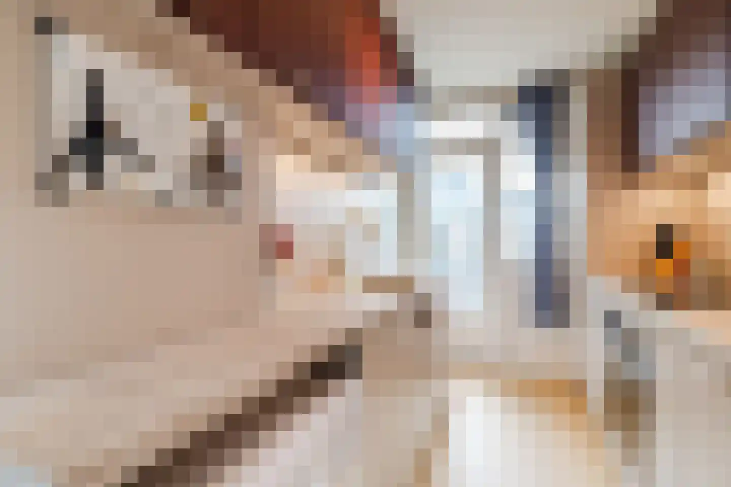 Tolsteegplantsoen 51 3 Utrecht thumbnail 7