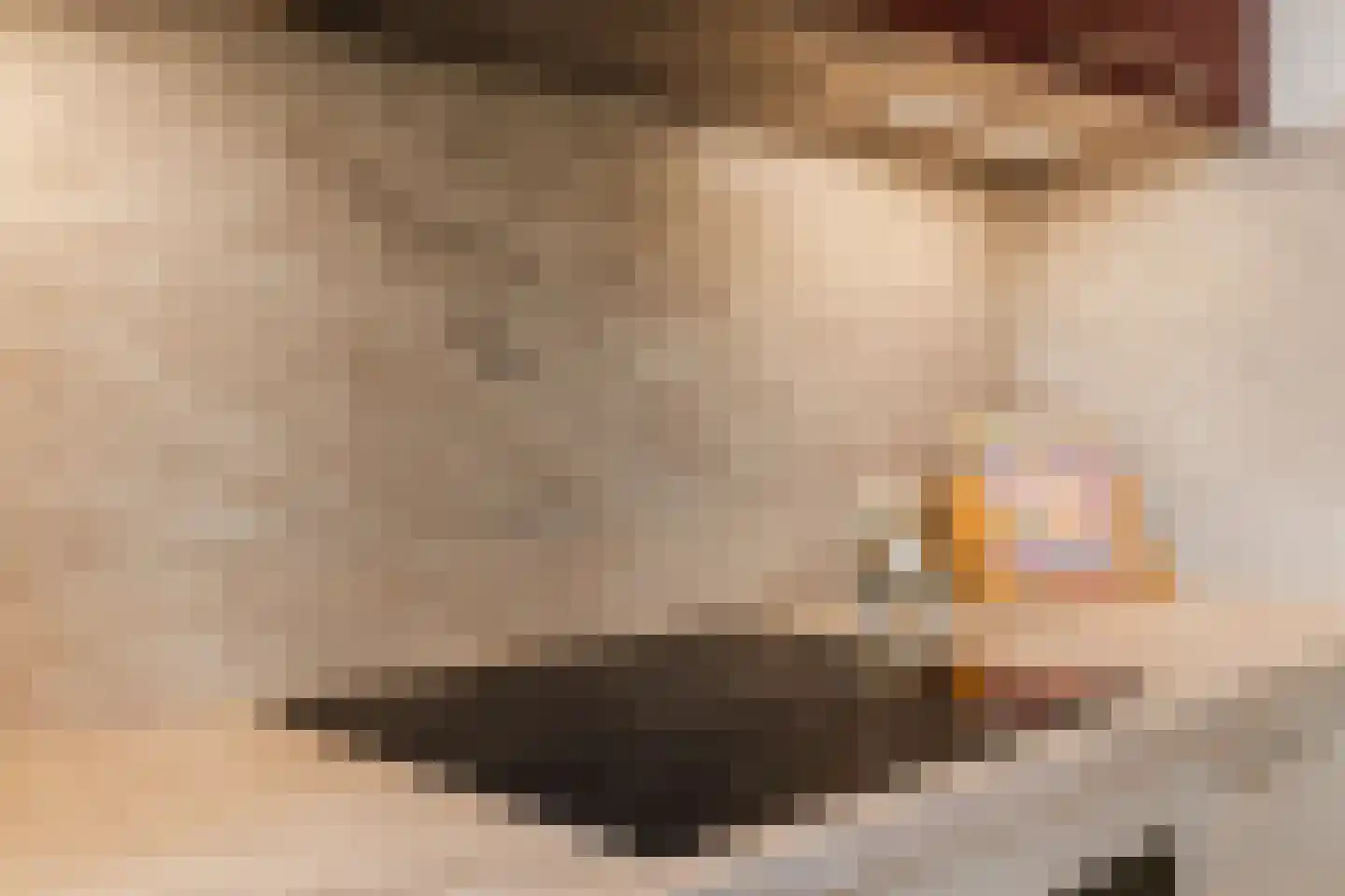 Tolsteegplantsoen 51 3 Utrecht thumbnail 9