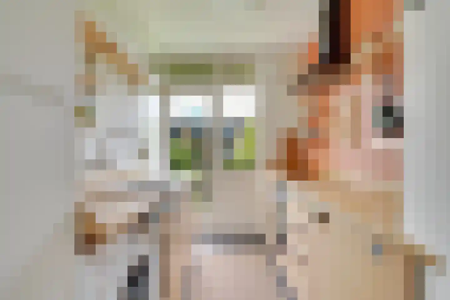 Tolsteegplantsoen 53 2 Utrecht thumbnail 16