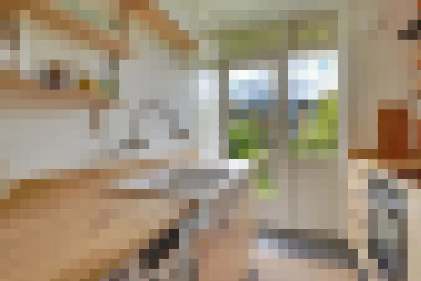 Tolsteegplantsoen 53 2 Utrecht thumbnail 18