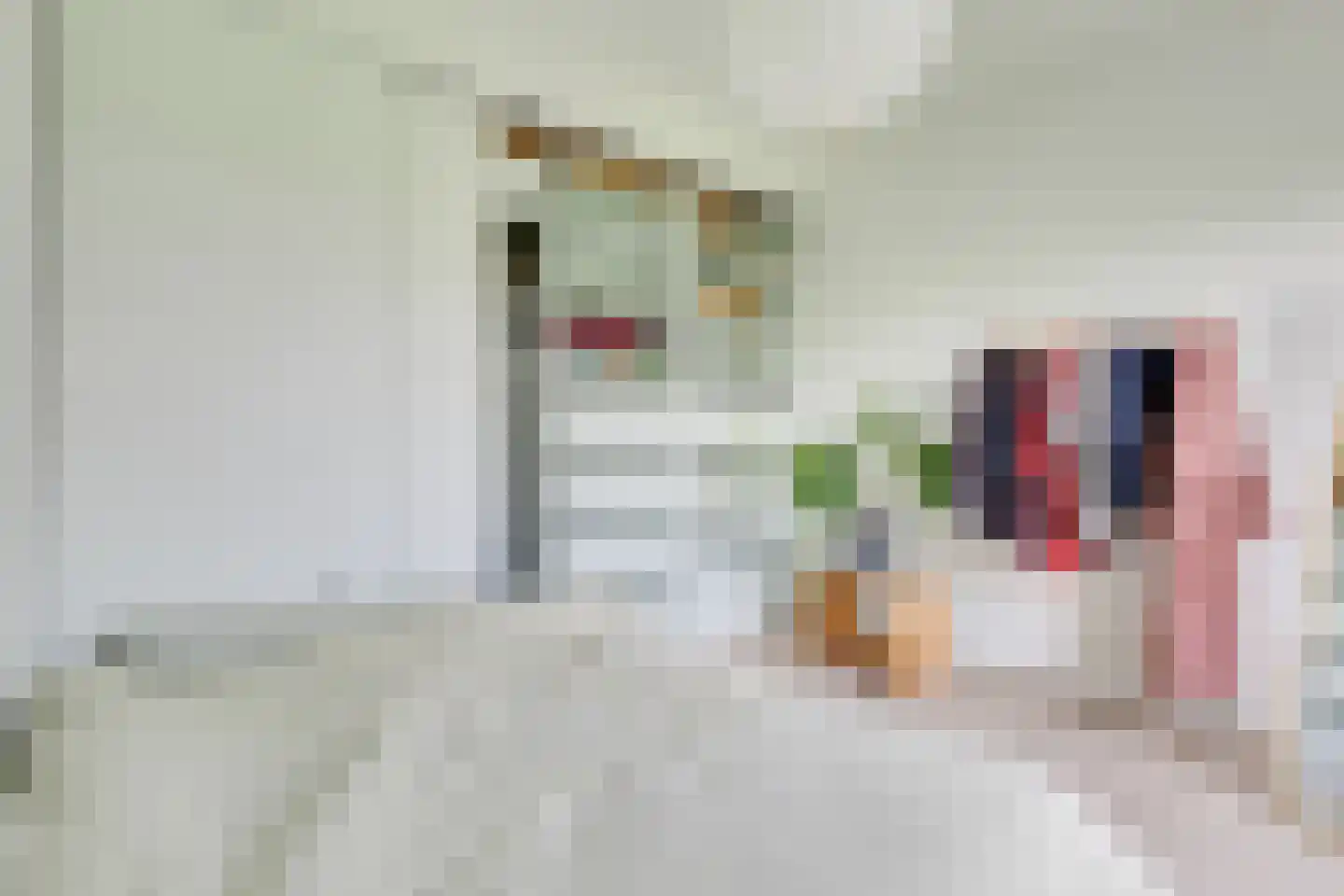Tolsteegplantsoen 53 2 Utrecht thumbnail 20