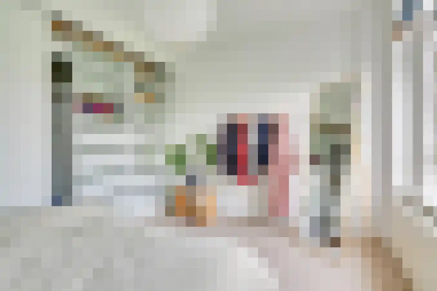 Tolsteegplantsoen 53 2 Utrecht thumbnail 21