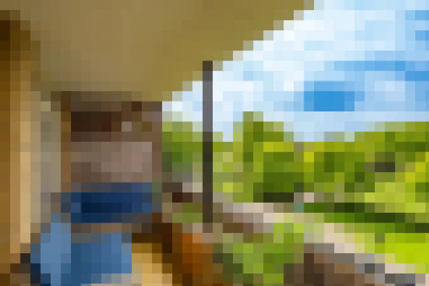 Tolsteegplantsoen 53 2 Utrecht thumbnail 27