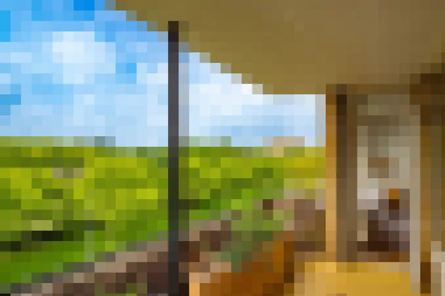 Tolsteegplantsoen 53 2 Utrecht thumbnail 28