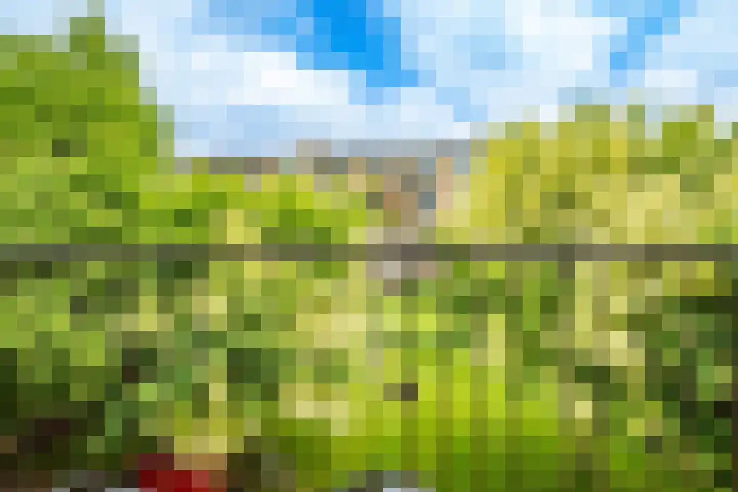 Tolsteegplantsoen 53 2 Utrecht thumbnail 30