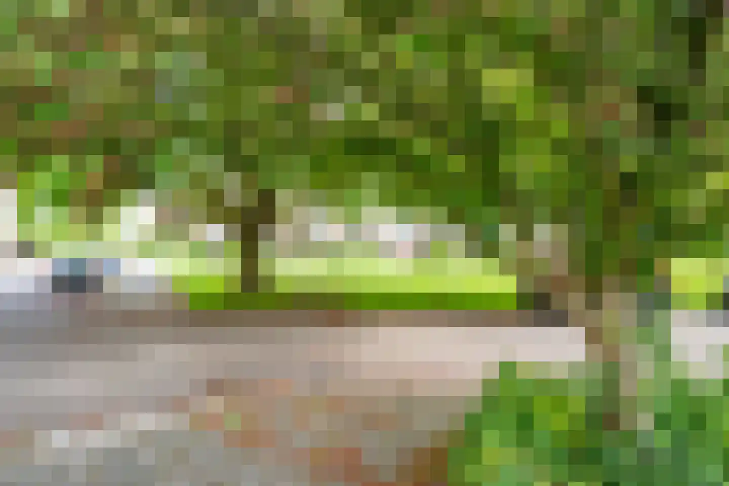 Tolsteegplantsoen 53 2 Utrecht thumbnail 32