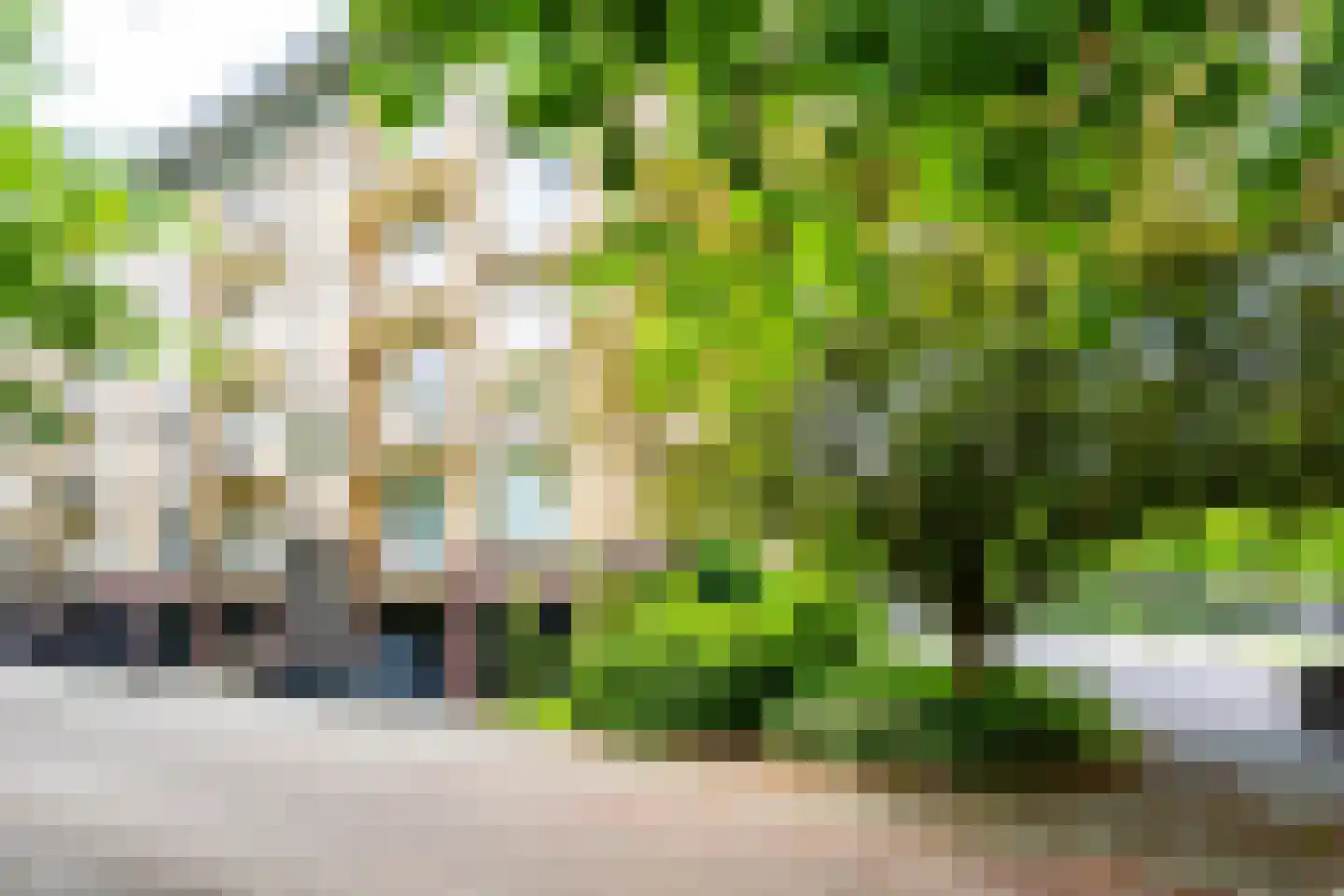Tolsteegplantsoen 53 2 Utrecht thumbnail 33