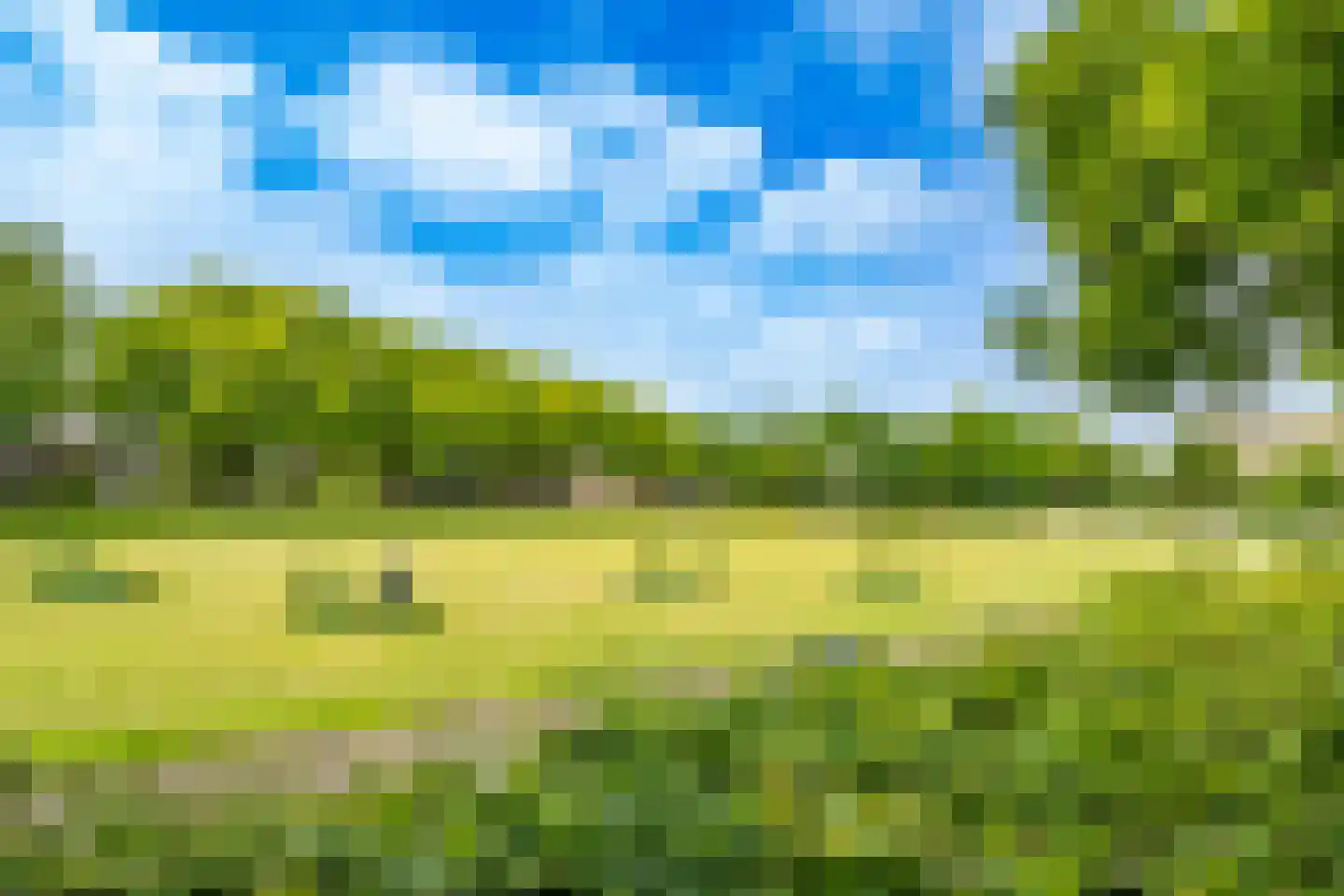 Tolsteegplantsoen 53 2 Utrecht thumbnail 34
