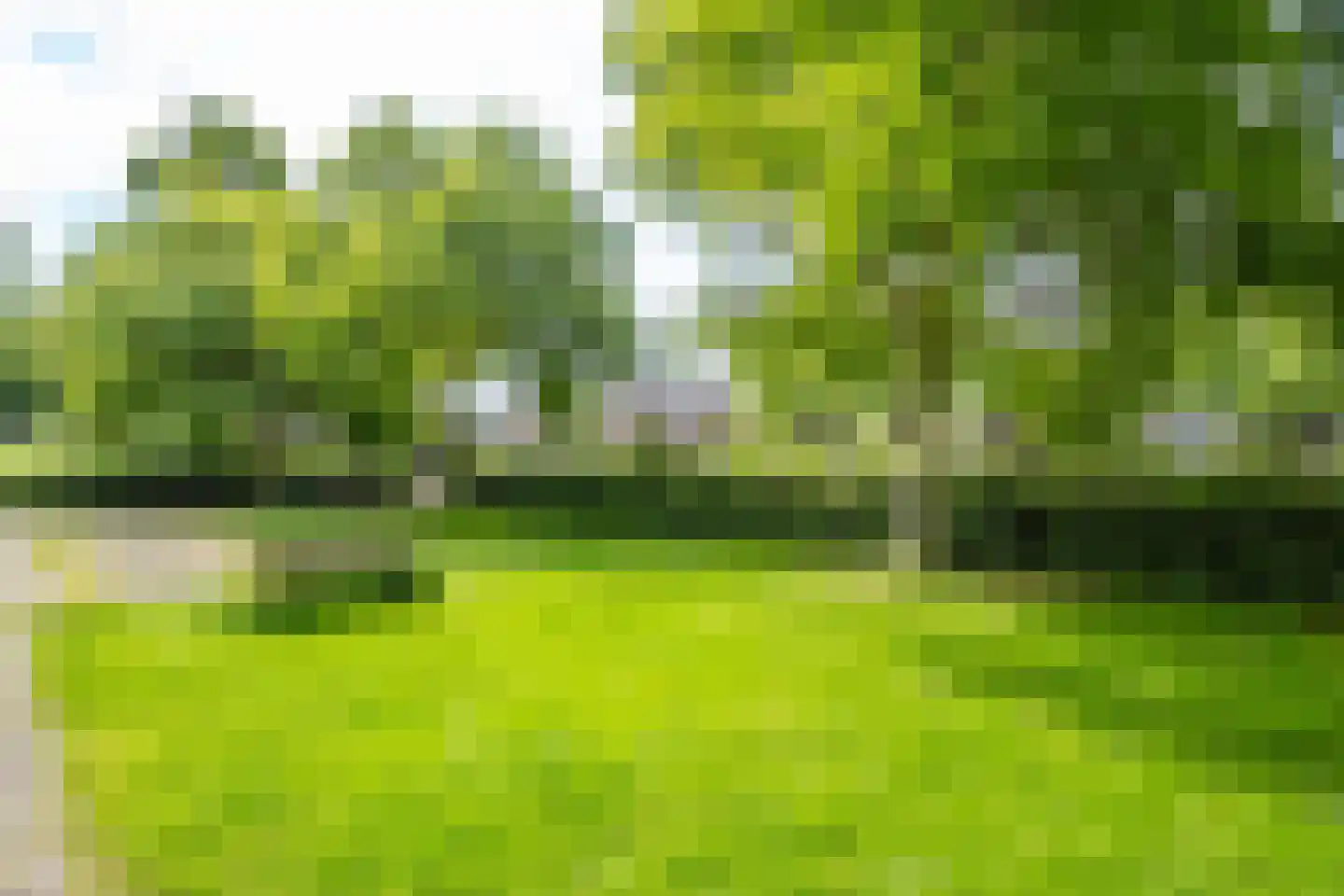 Tolsteegplantsoen 53 2 Utrecht thumbnail 35