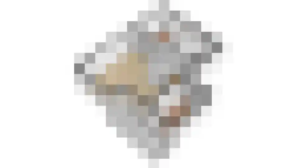 Tolsteegplantsoen 53 2 Utrecht thumbnail 38