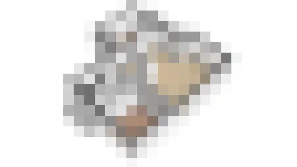 Tolsteegplantsoen 53 2 Utrecht thumbnail 39