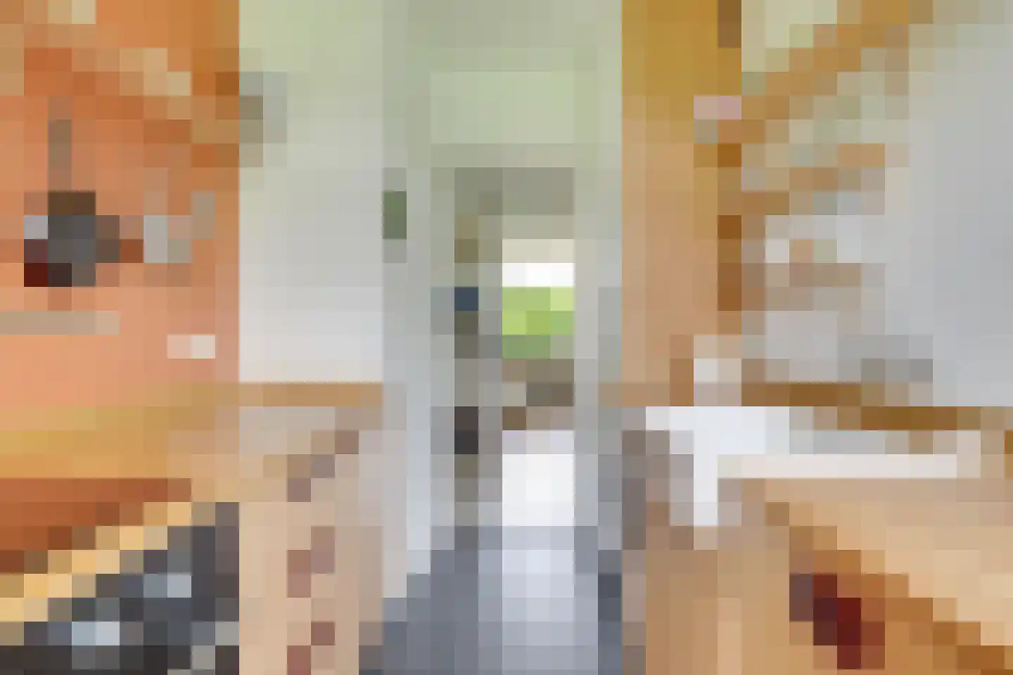 Tolsteegplantsoen 53 2 Utrecht thumbnail 4