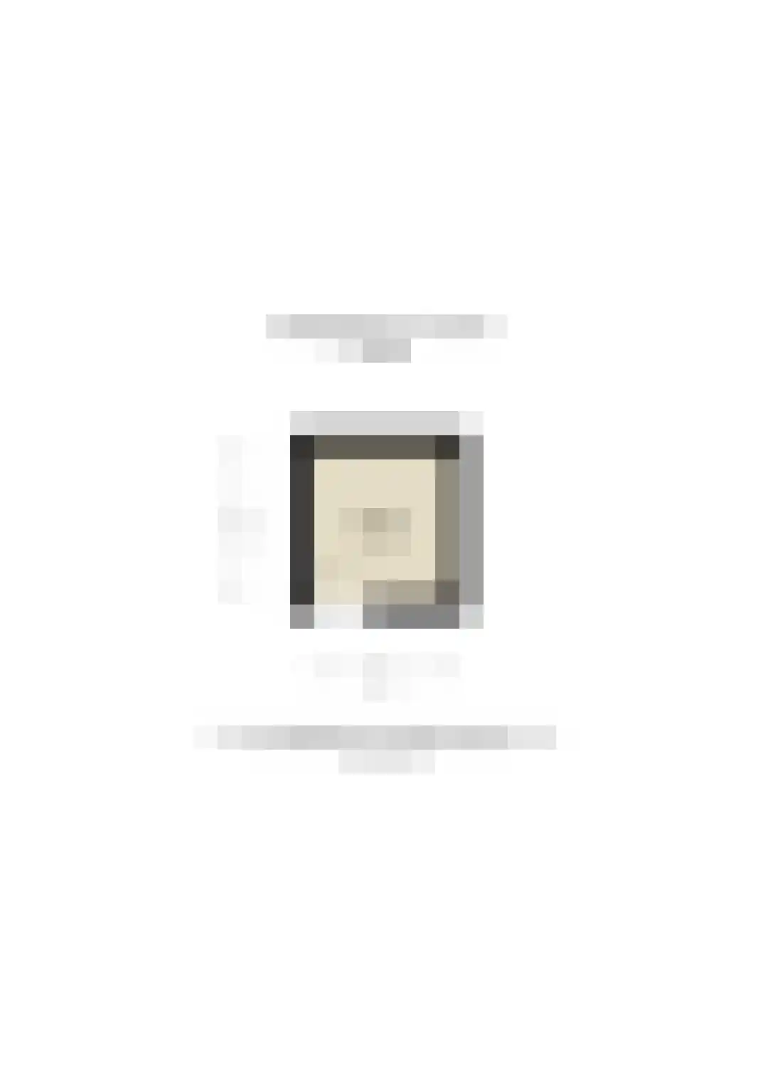 Tolsteegplantsoen 53 2 Utrecht thumbnail 40