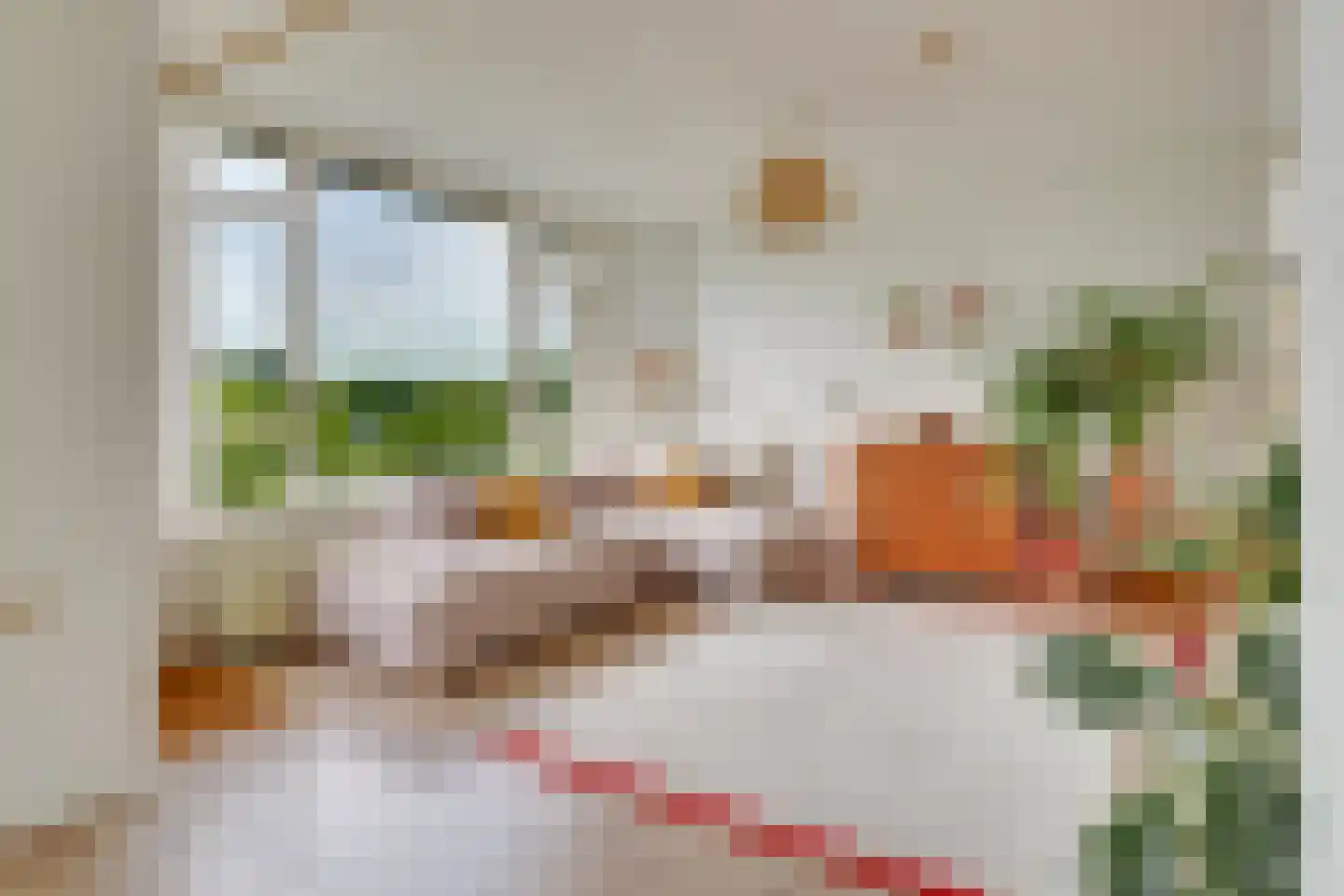 Tolsteegplantsoen 53 2 Utrecht thumbnail 9