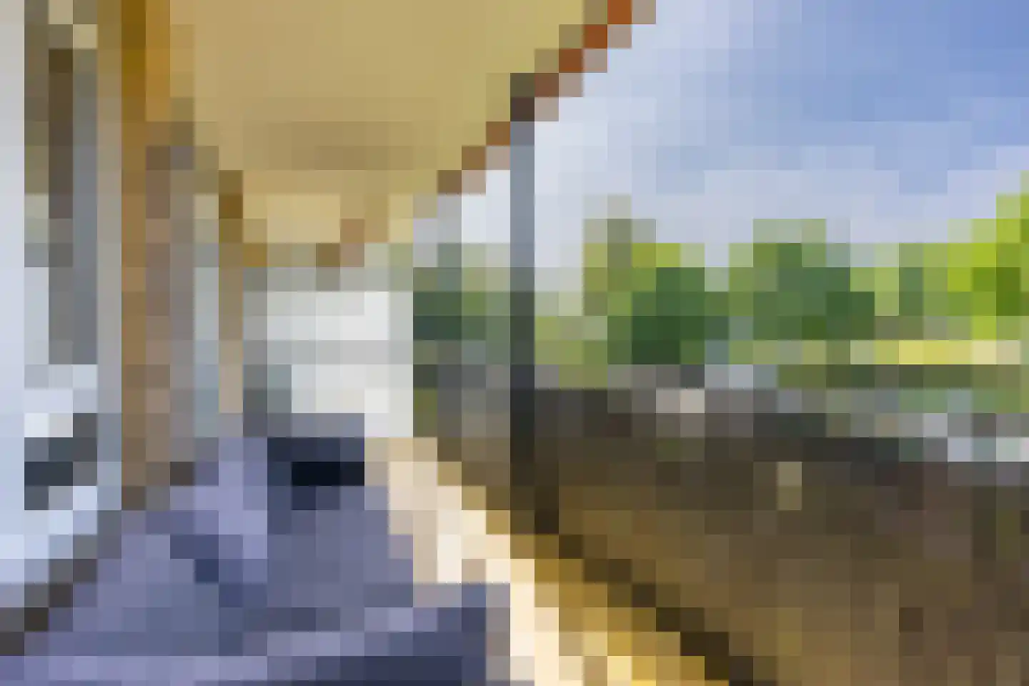Tolsteegplantsoen 53 Utrecht thumbnail 16