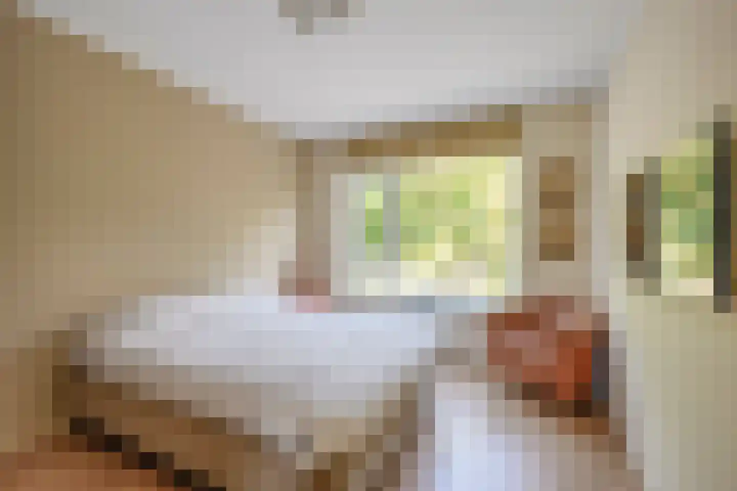 Tolsteegplantsoen 53 Utrecht thumbnail 19