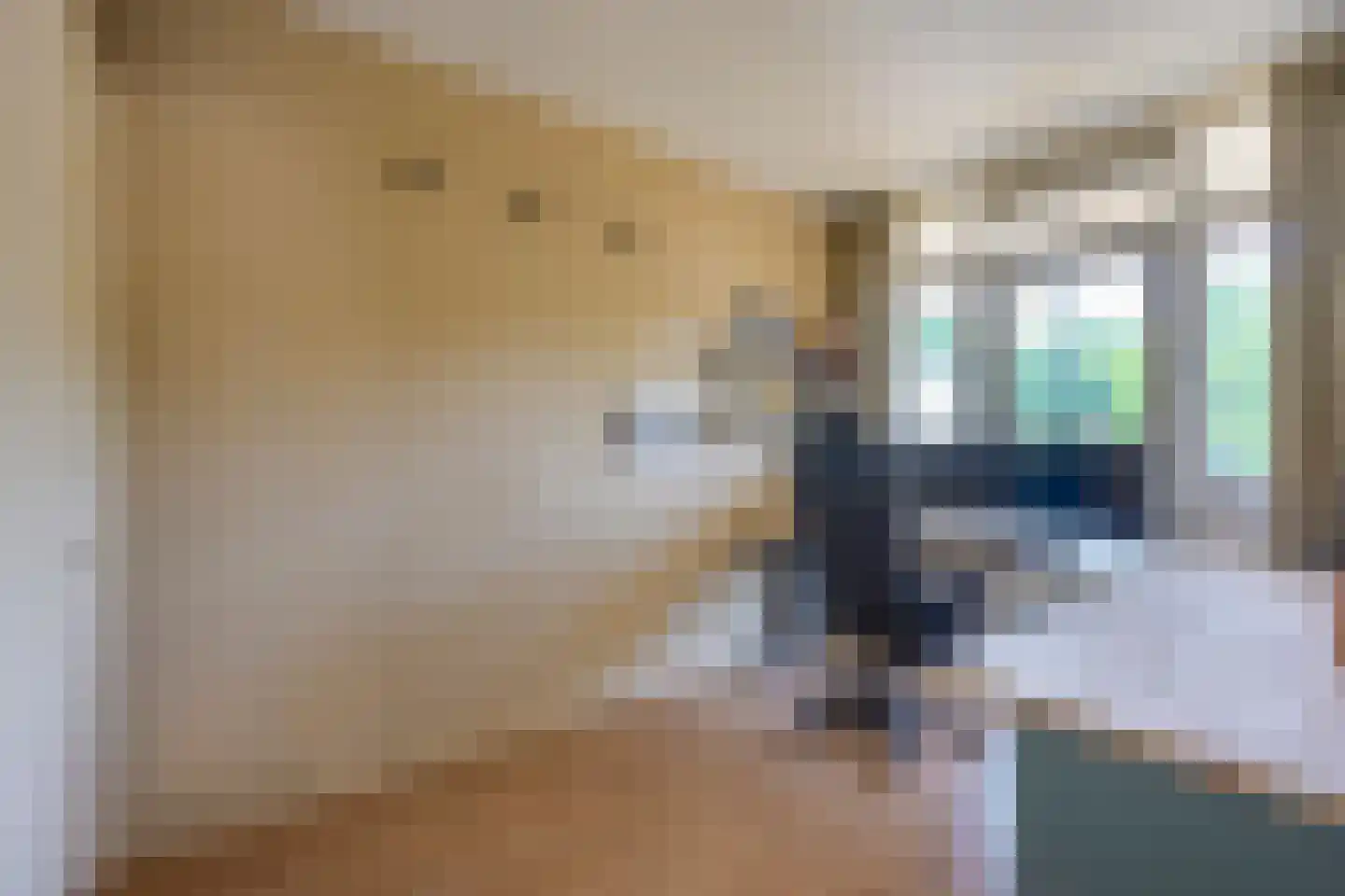 Tolsteegplantsoen 53 Utrecht thumbnail 22