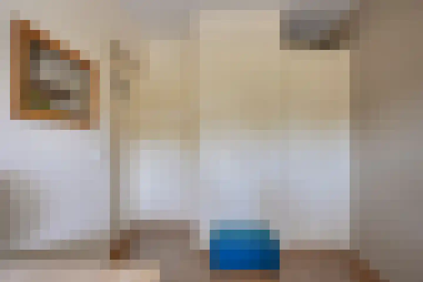 Tolsteegplantsoen 53 Utrecht thumbnail 24