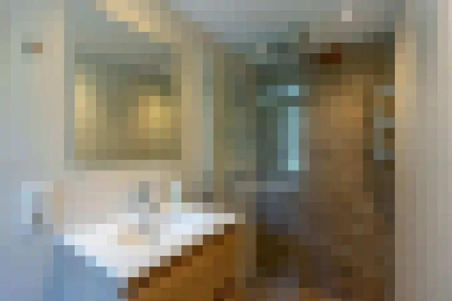 Tolsteegplantsoen 53 Utrecht thumbnail 25