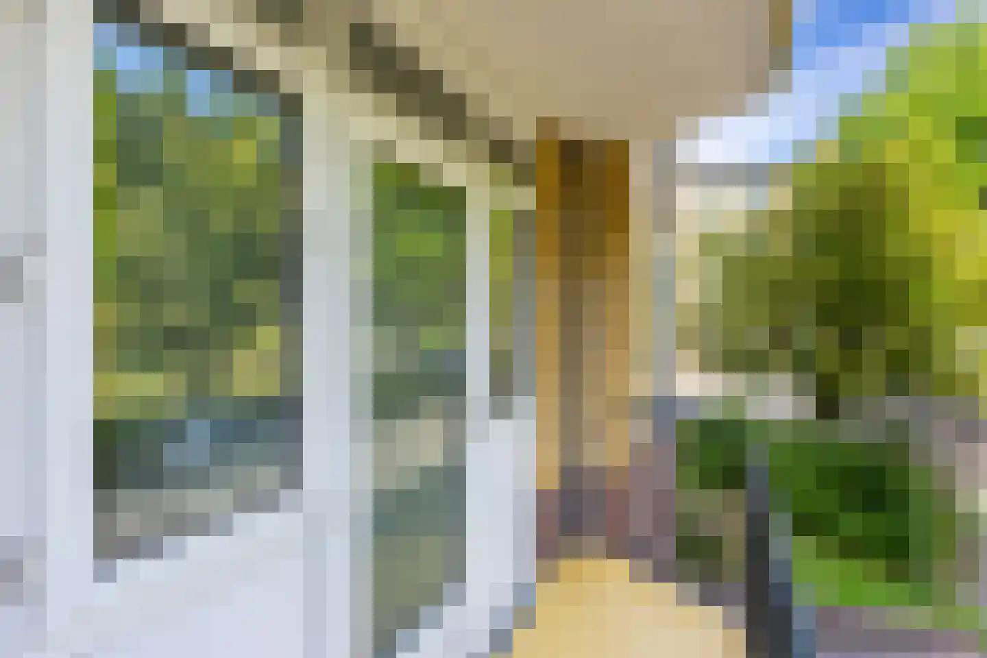 Tolsteegplantsoen 53 Utrecht thumbnail 30