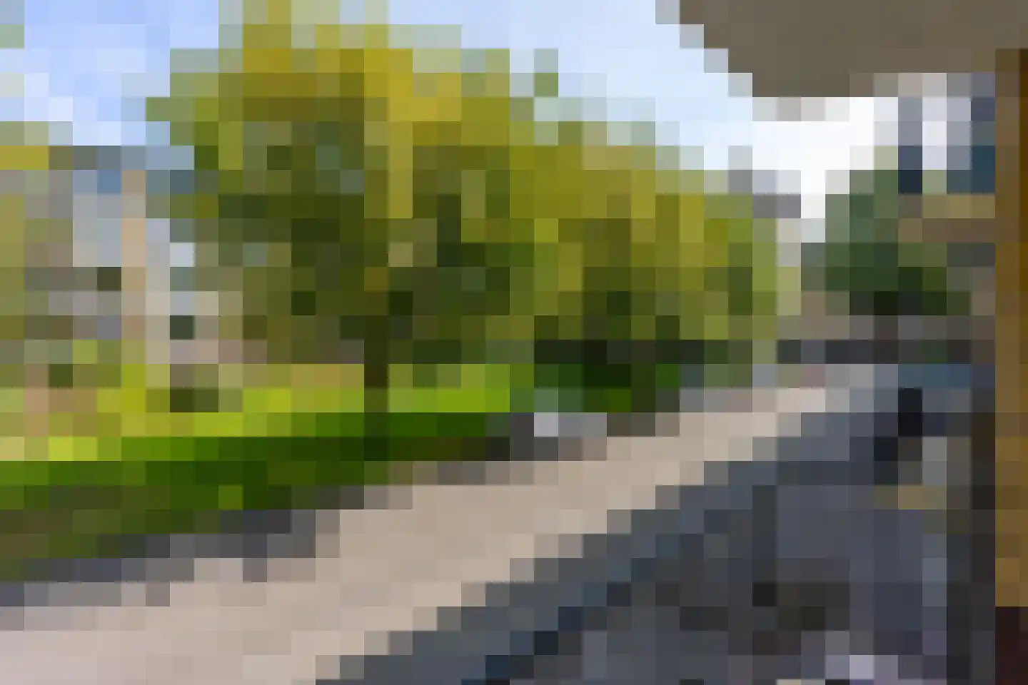 Tolsteegplantsoen 53 Utrecht thumbnail 31