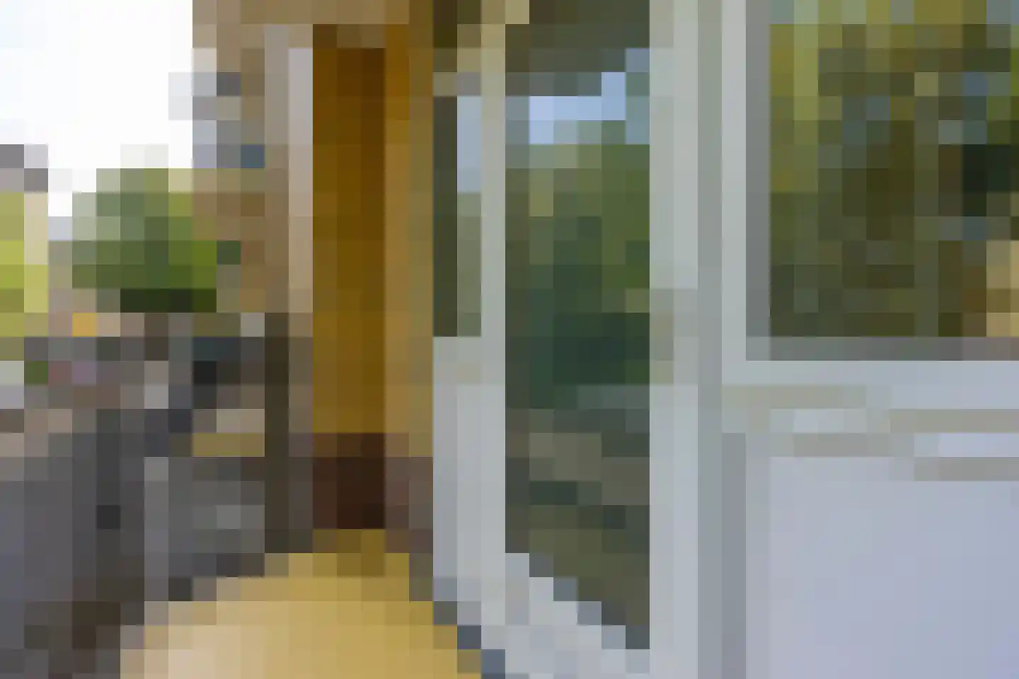 Tolsteegplantsoen 53 Utrecht thumbnail 32