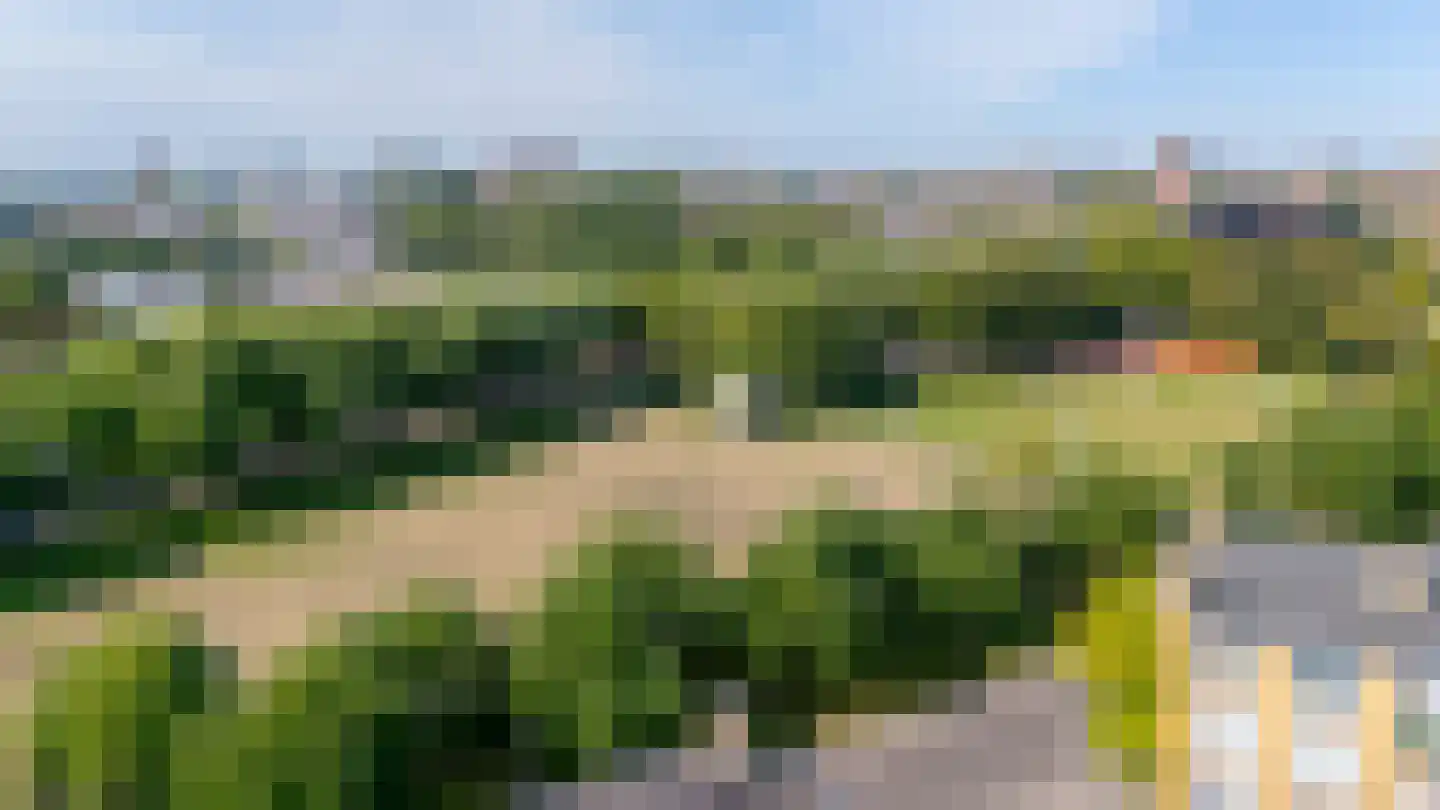 Tolsteegplantsoen 53 Utrecht thumbnail 35