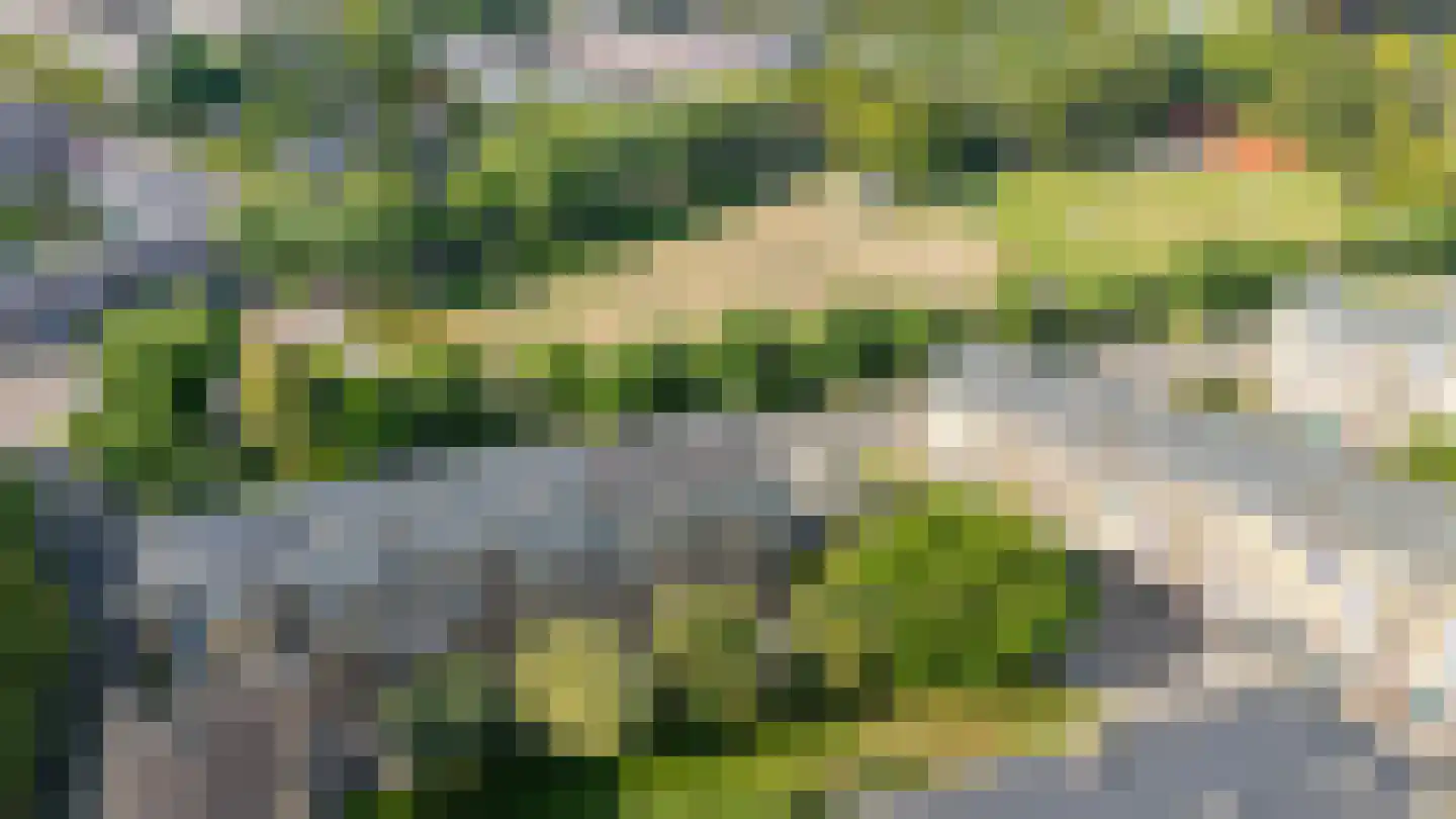 Tolsteegplantsoen 53 Utrecht thumbnail 37