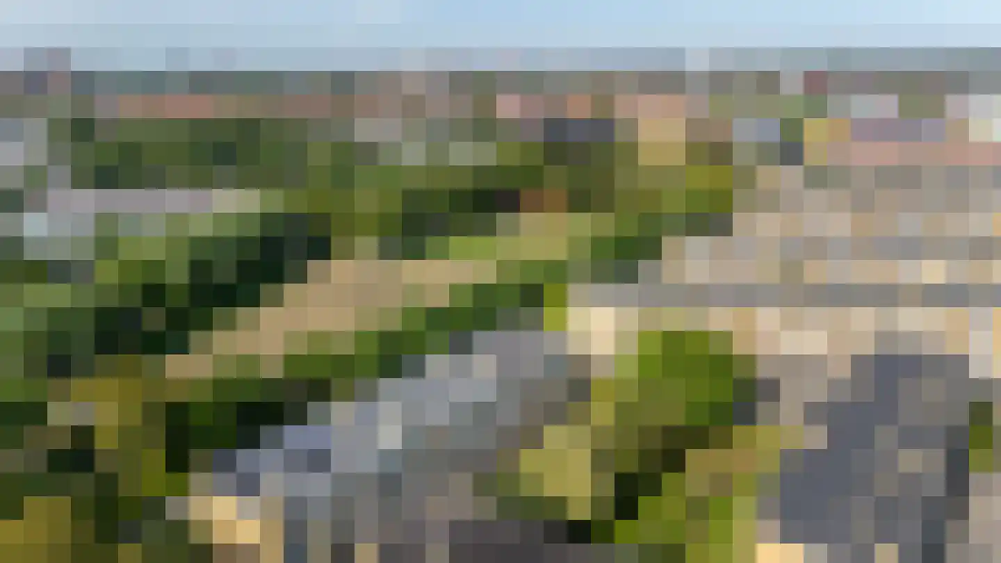 Tolsteegplantsoen 53 Utrecht thumbnail 38
