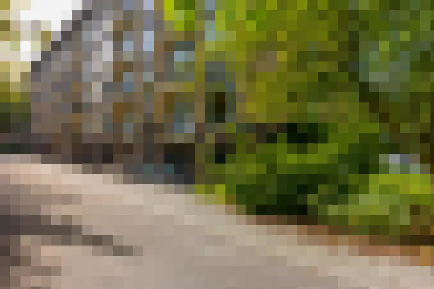 Tolsteegplantsoen 53 Utrecht thumbnail 5