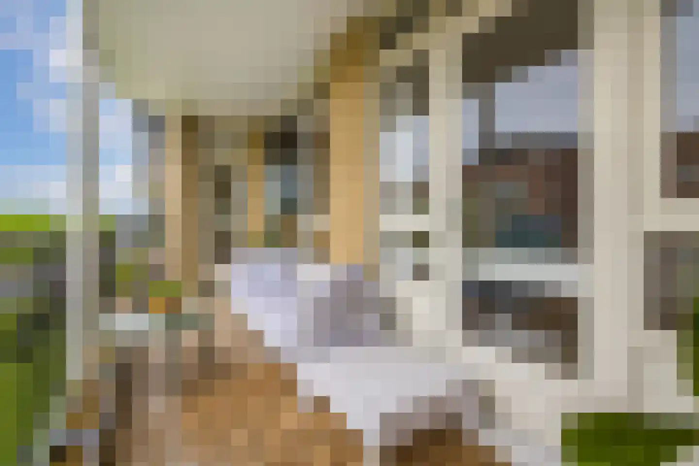 Tolsteegplantsoen 6 1 Utrecht thumbnail 10