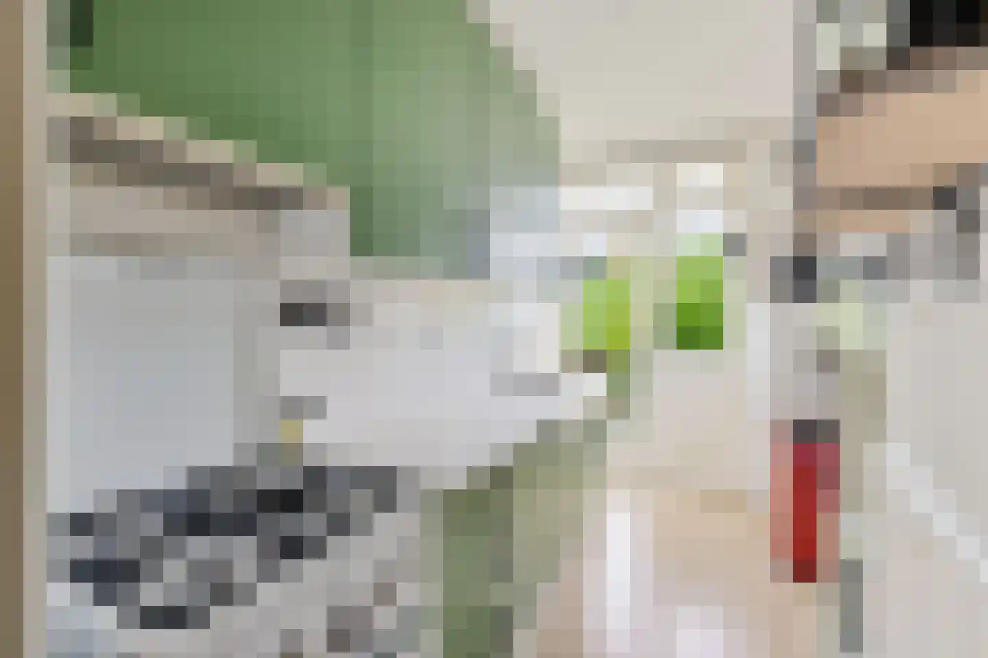 Tolsteegplantsoen 6 1 Utrecht thumbnail 13