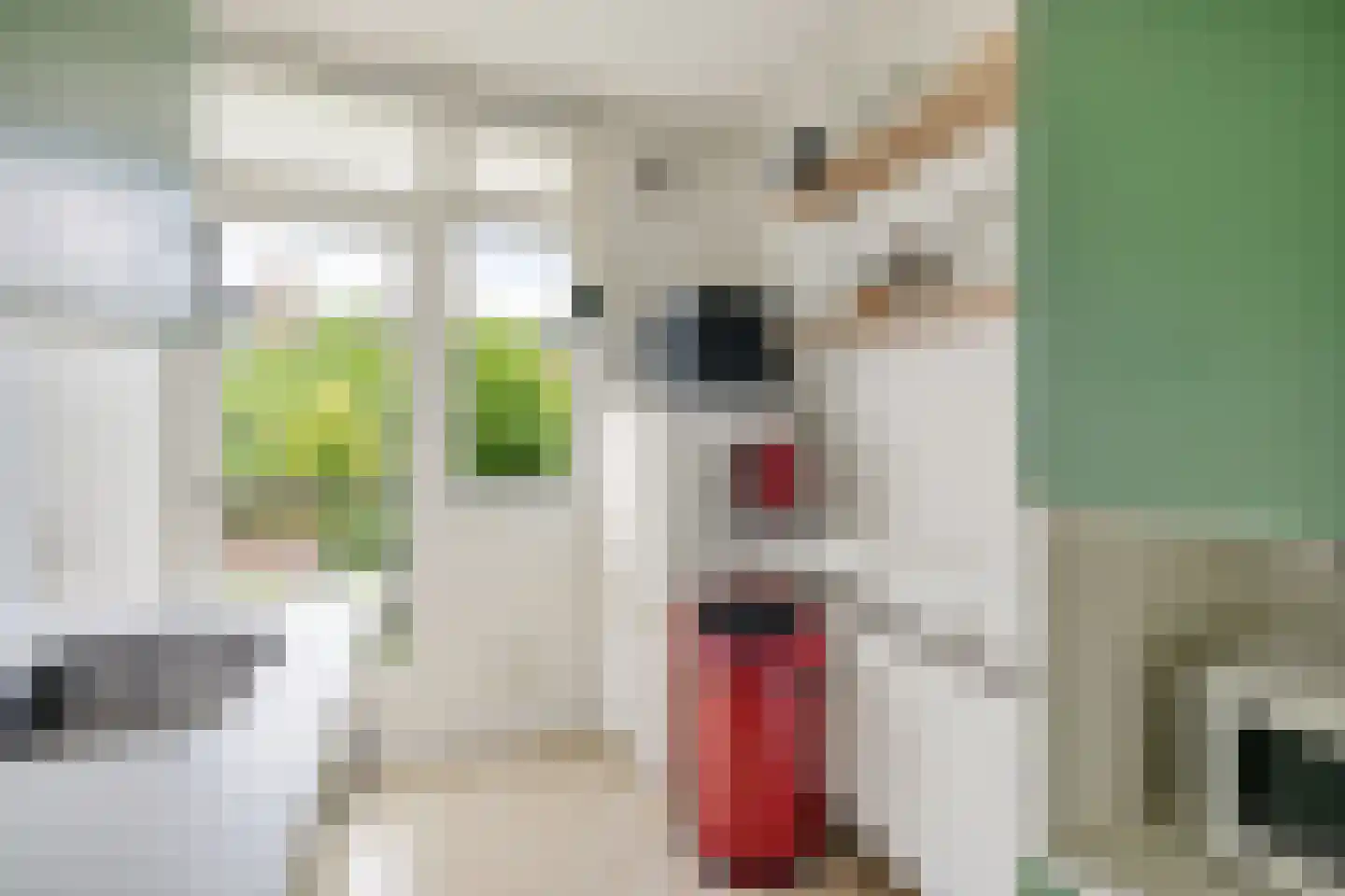 Tolsteegplantsoen 6 1 Utrecht thumbnail 14
