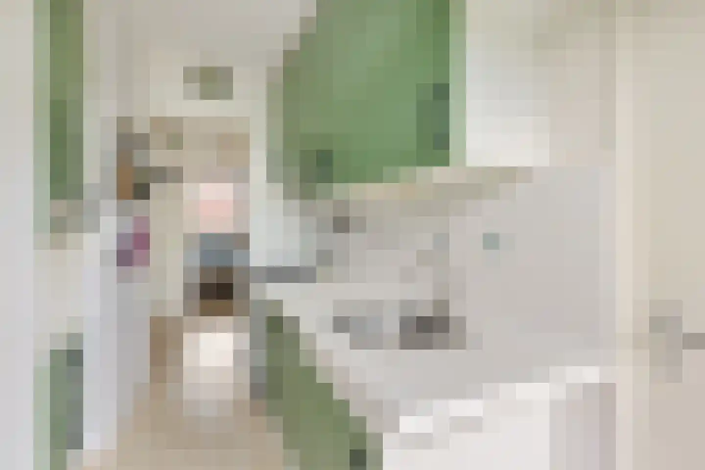 Tolsteegplantsoen 6 1 Utrecht thumbnail 15