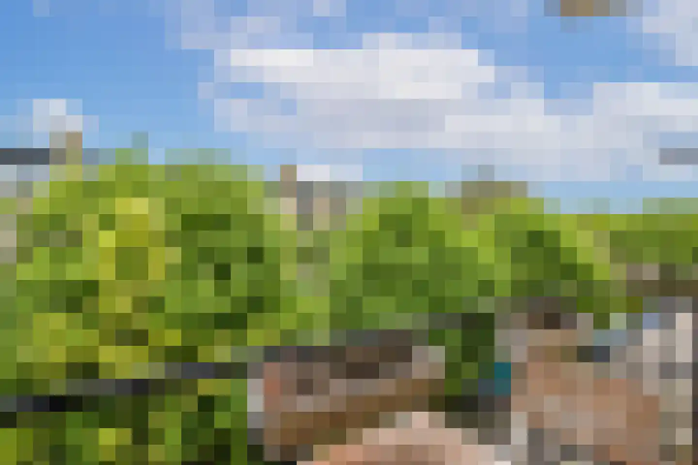 Tolsteegplantsoen 6 1 Utrecht thumbnail 17