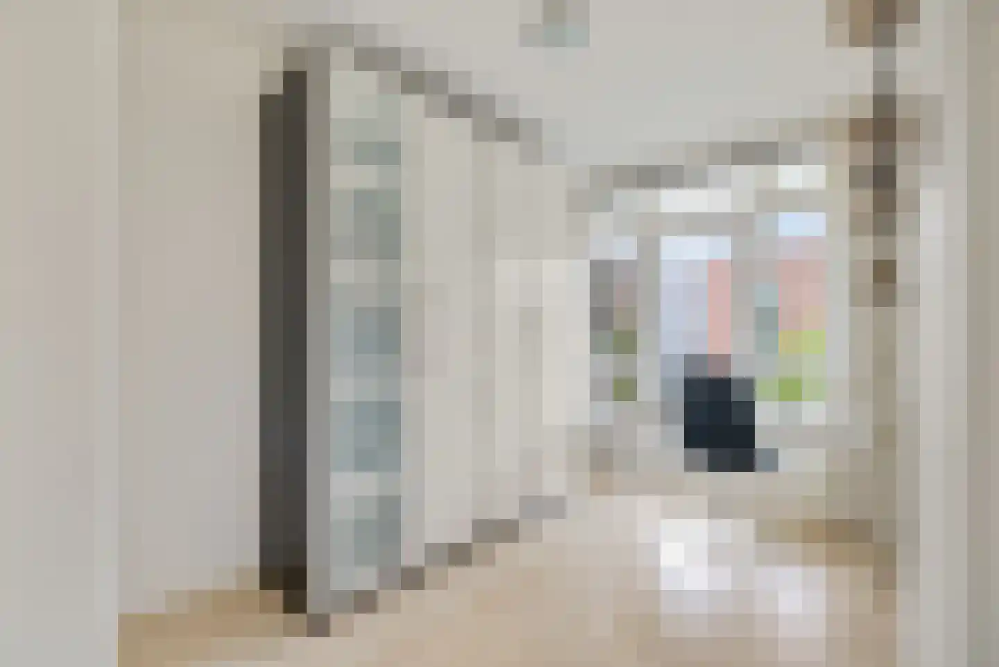 Tolsteegplantsoen 6 1 Utrecht thumbnail 21
