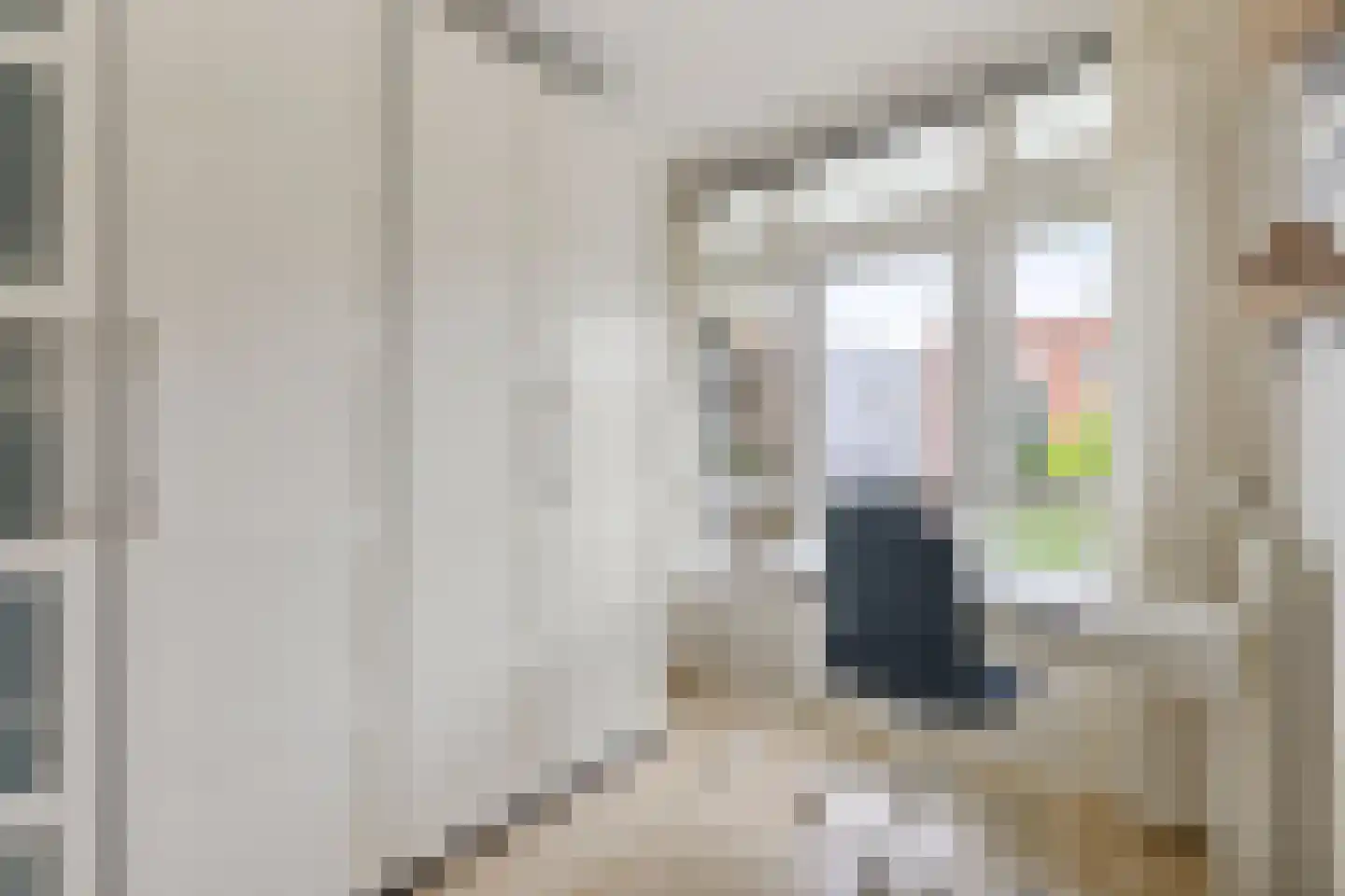 Tolsteegplantsoen 6 1 Utrecht thumbnail 22