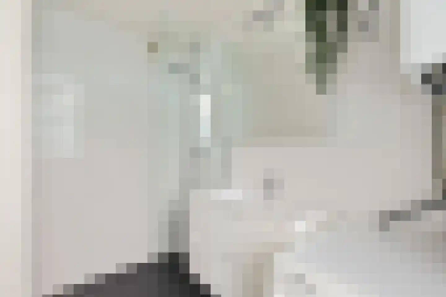 Tolsteegplantsoen 6 1 Utrecht thumbnail 24