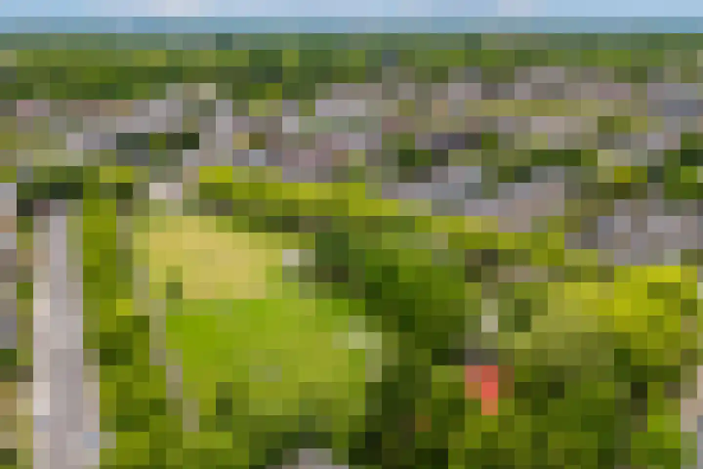 Tolsteegplantsoen 6 1 Utrecht thumbnail 26