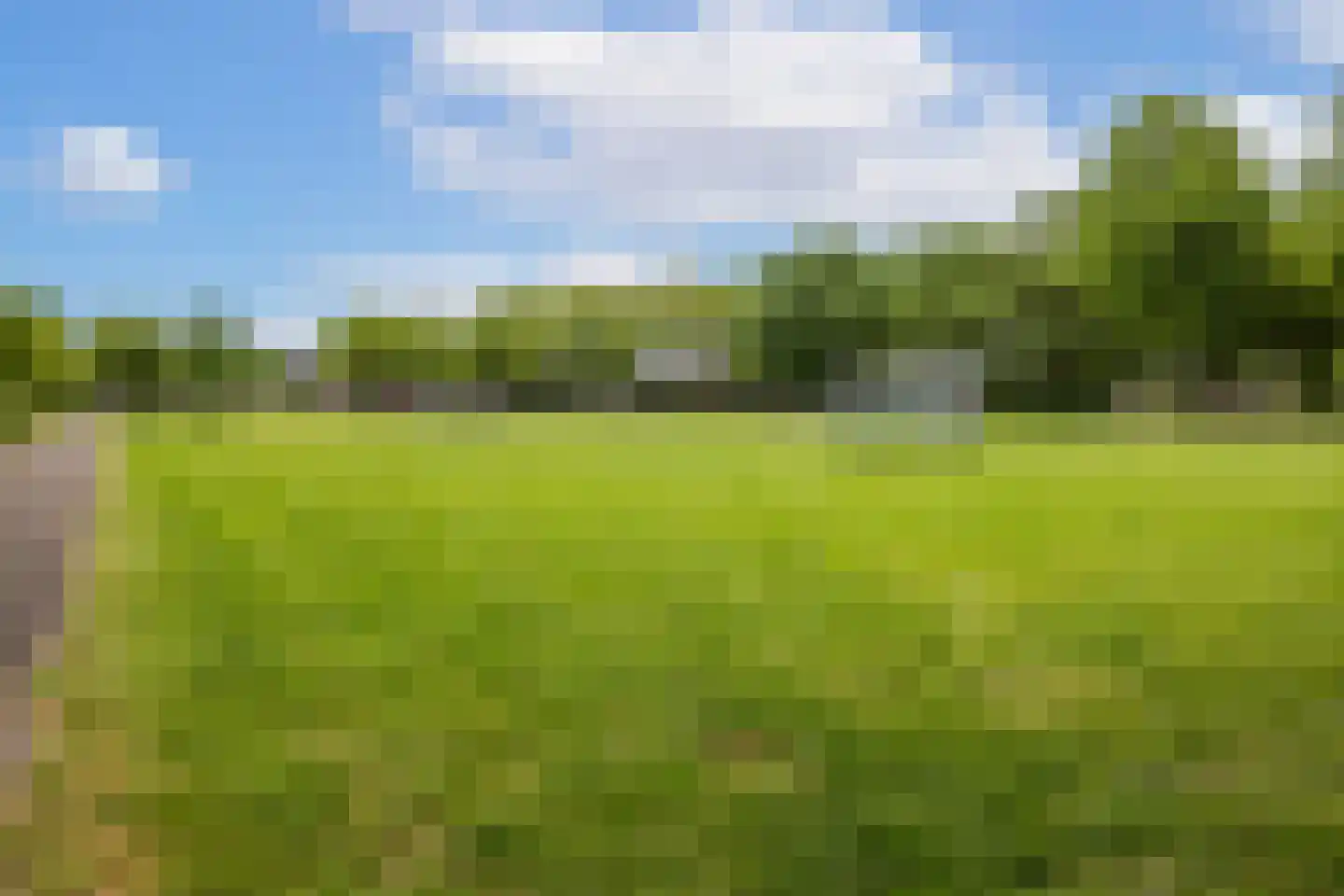 Tolsteegplantsoen 6 1 Utrecht thumbnail 27