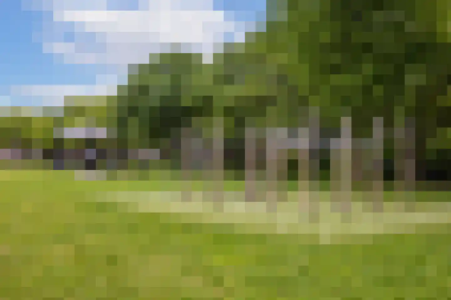 Tolsteegplantsoen 6 1 Utrecht thumbnail 28