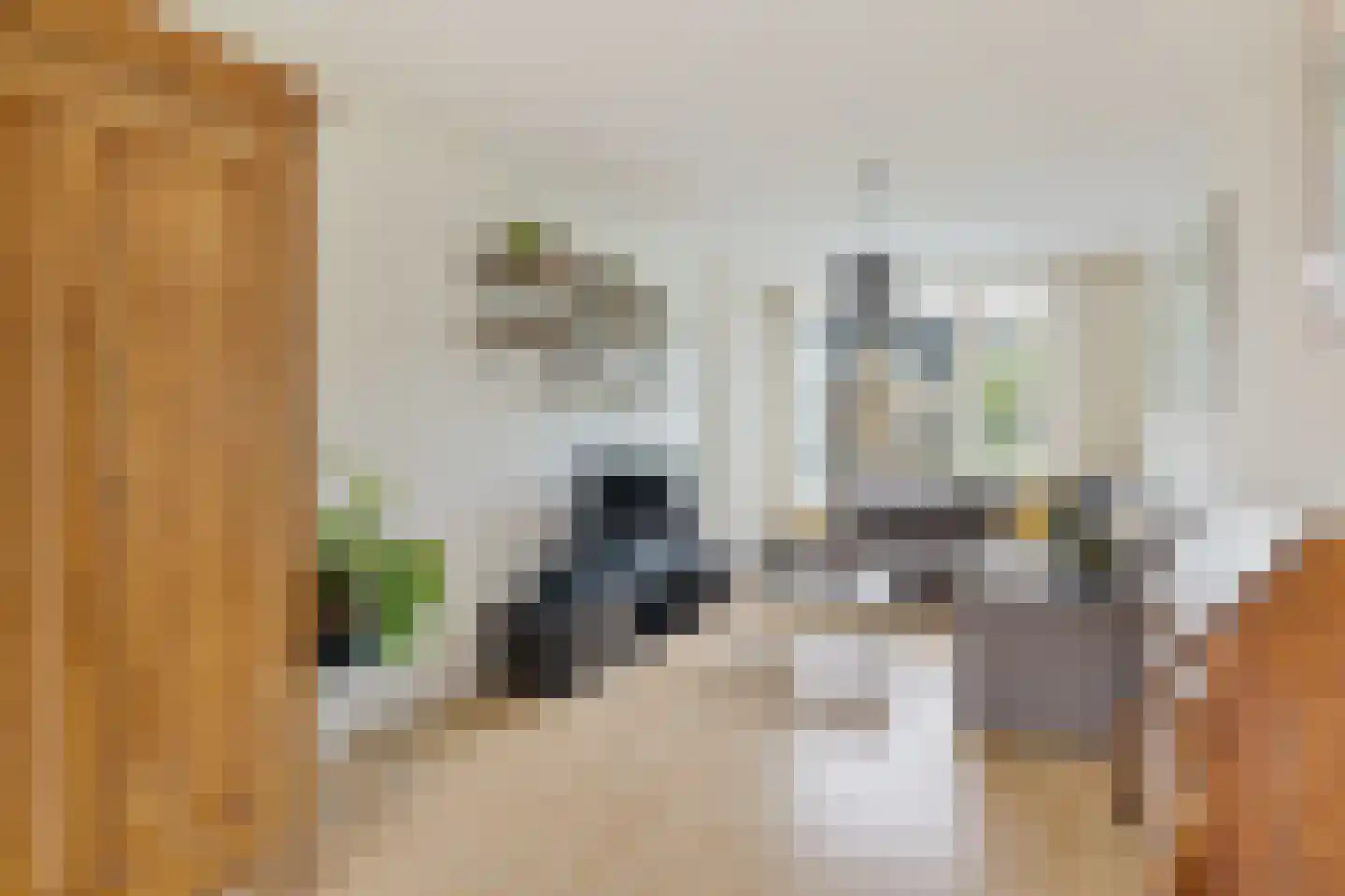 Tolsteegplantsoen 6 1 Utrecht thumbnail 5